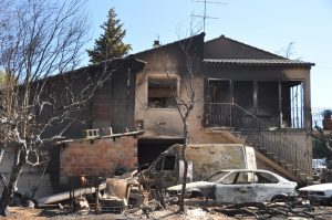 Assurance : quelles compensations en cas d&rsquo;incendie de forêt ?